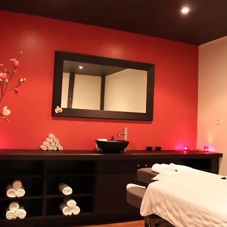 Hotel Hotel&spa Le Pavillon 5*